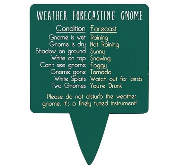 Weather forecasting gnome