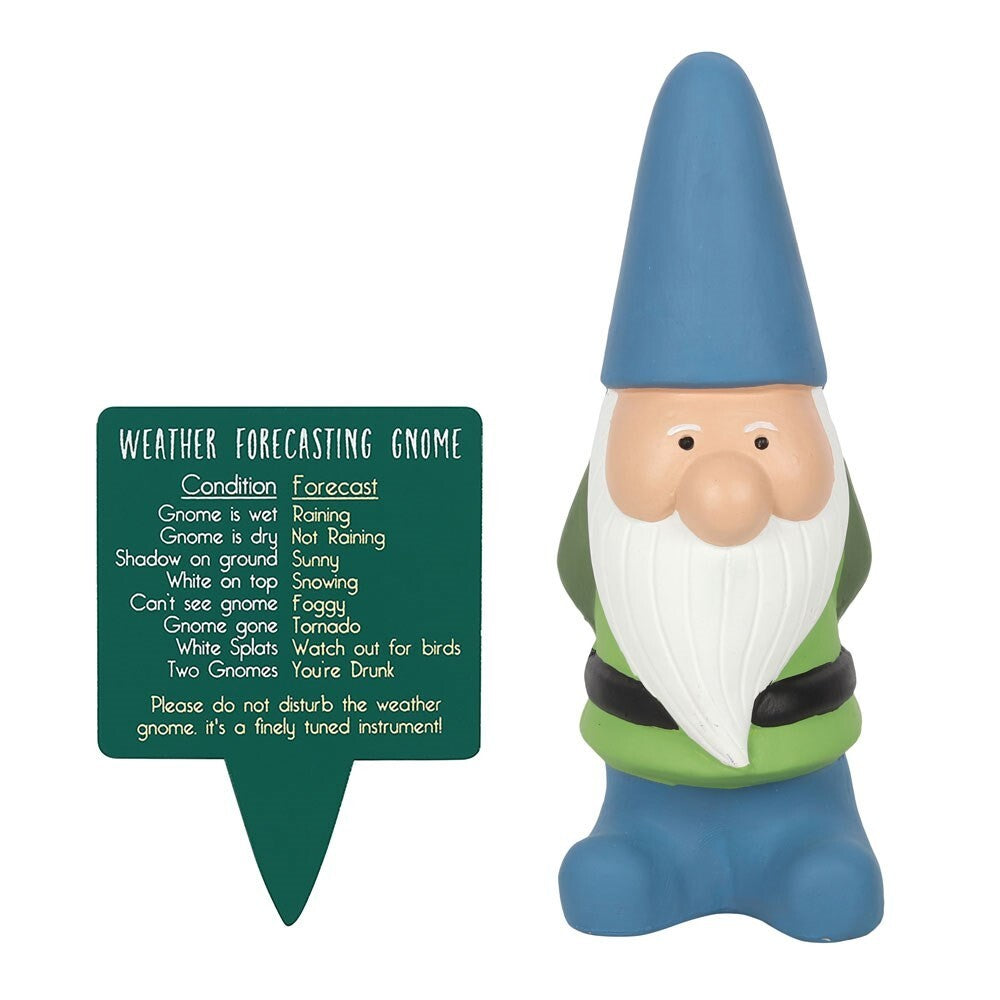 Weather forecasting gnome