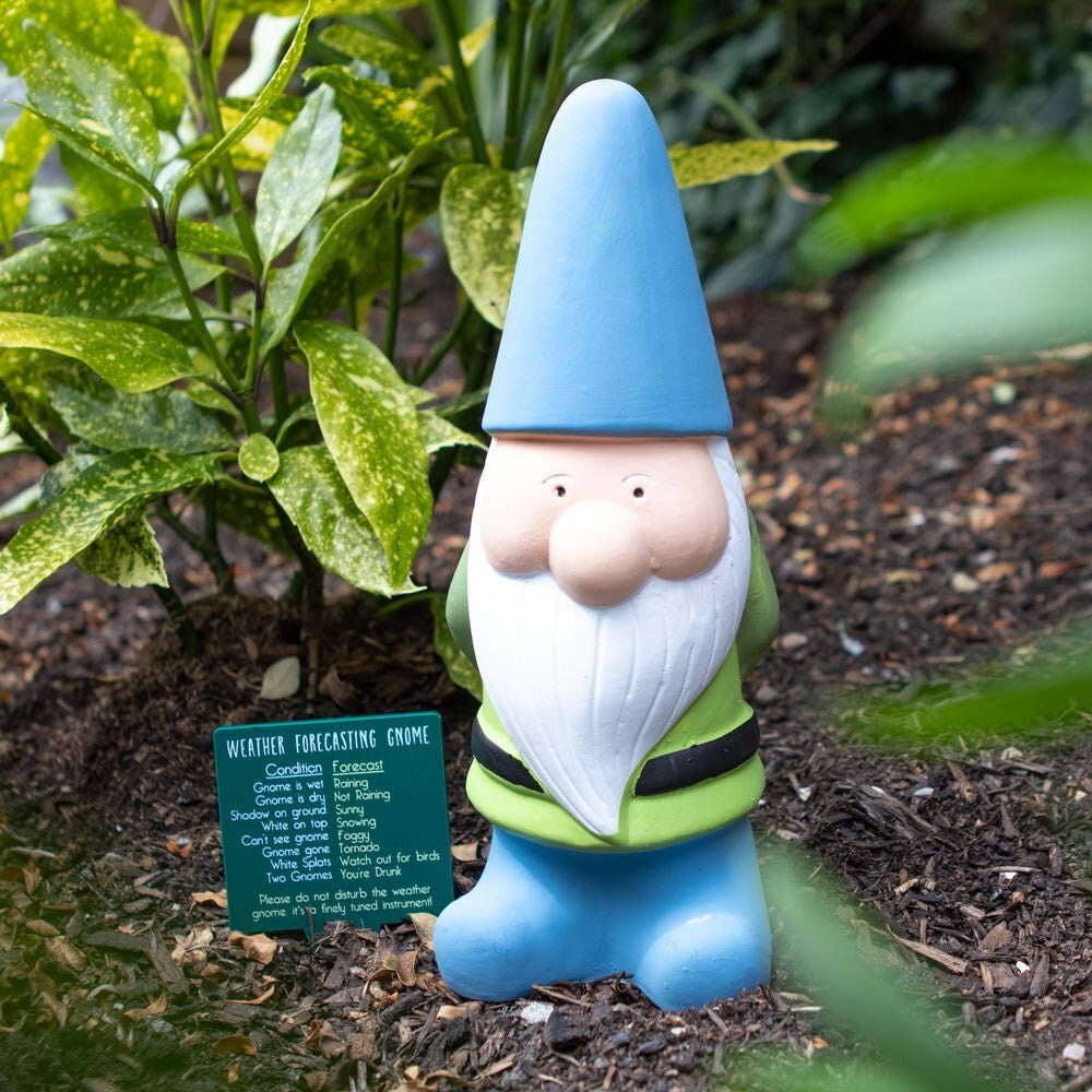 Weather forecasting gnome